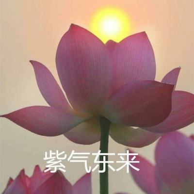 百将江湖之飞仙内购破解版下载